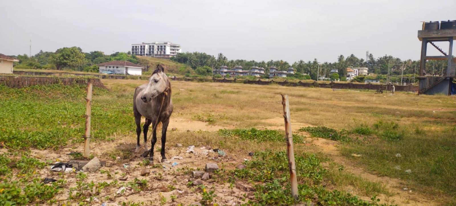 Bekal Fort Beach Resorts Bekal Town Extérieur photo